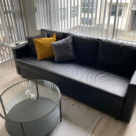רייקיאוויק Laugavegur Apartment מראה חיצוני תמונה