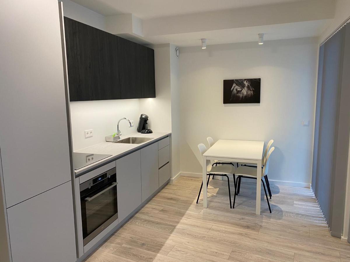 רייקיאוויק Laugavegur Apartment מראה חיצוני תמונה